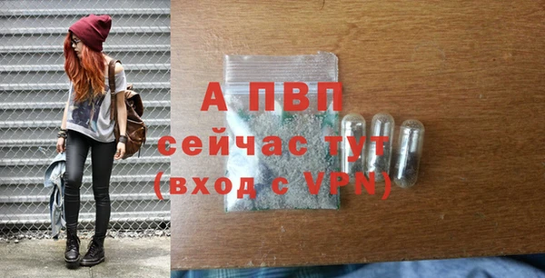 спиды Абаза