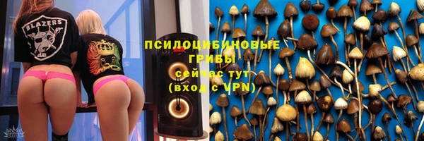 спиды Абаза