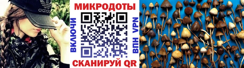 Галлюциногенные грибы прущие грибы  Нахабино 